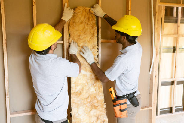 Best Insulation Contractors for Homes  in Ashland City, TN